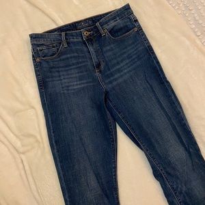 Lucky Brand Bridgette Skinny Jean